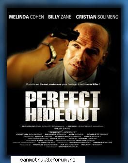 Perfect Hideout 2008 - Film Subtitrari - Filme Gratis