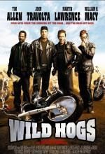 Wild Hogs - Film Subtitrare - Filme Gratis